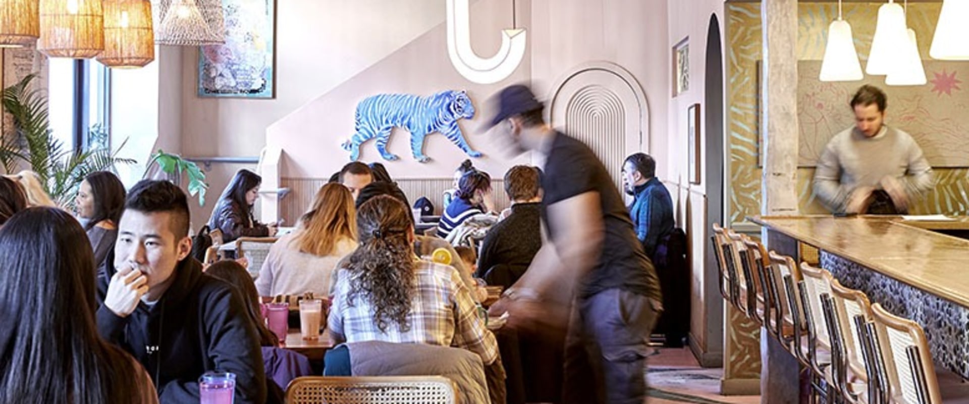 The Growing Trend of Food Trucks and Food Carts in Southern New Jersey